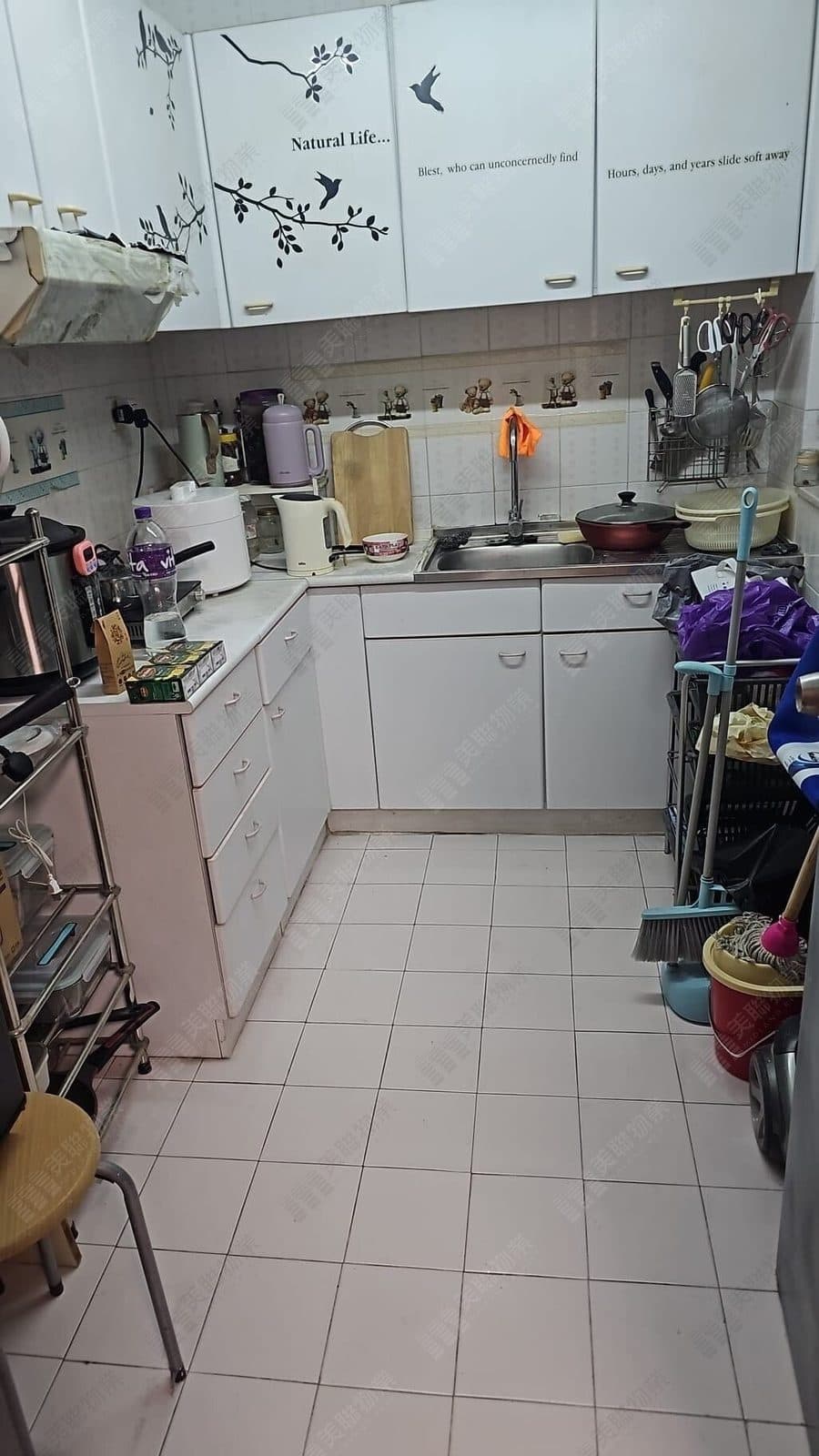 盈豐園 1座 低層 B室 相片 1